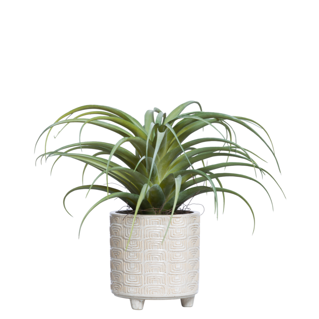 air plant png Air Plant – Lux Art Silks