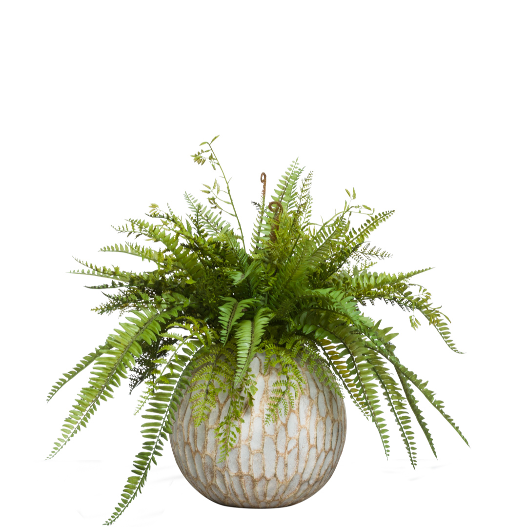 potting mix ferns Fern Mix – Lux Art Silks
