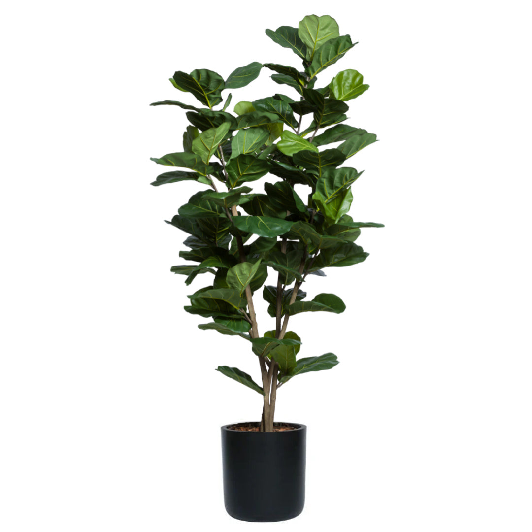 fiddle leaf fig short Fig Fiddle – Lux Art Silks