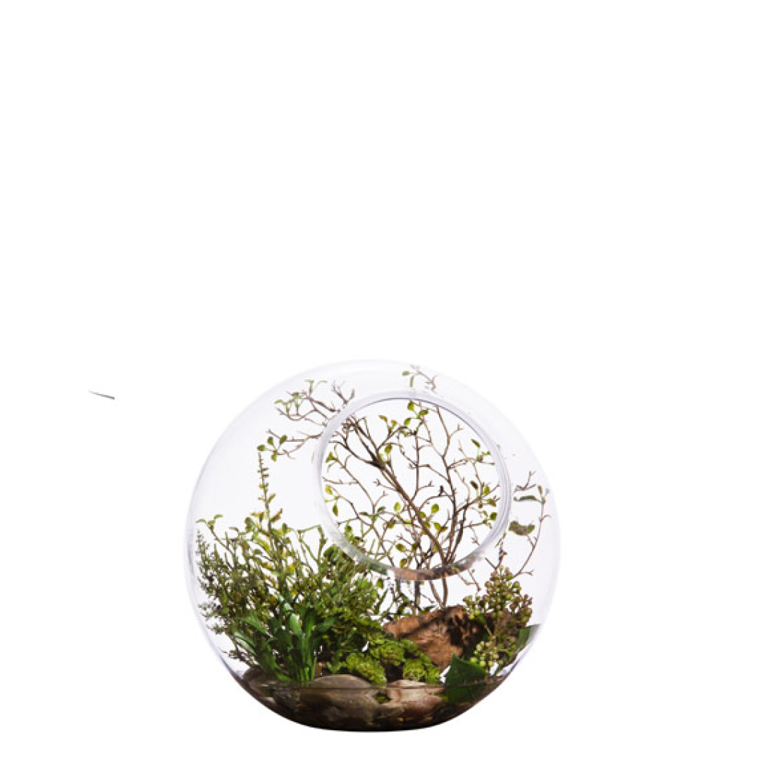 terrarium plants wholesale Terrarium Mix FW – Lux Art Silks