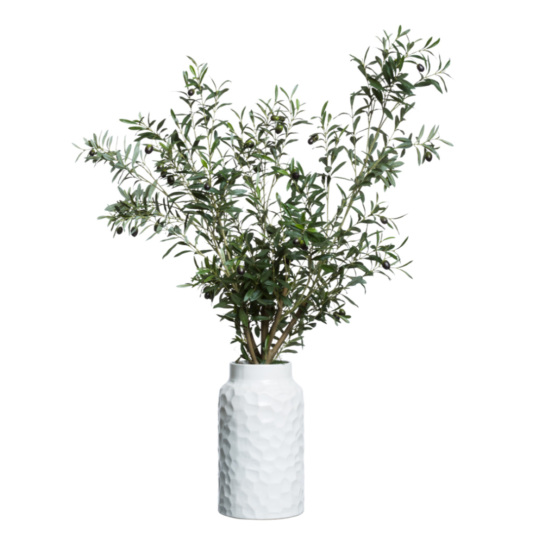 Olive Tree