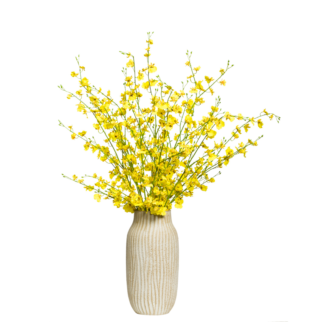 Orchid Oncidium