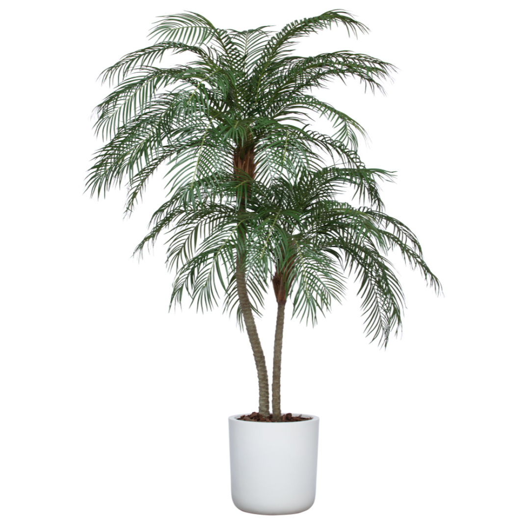 phoenix plant indoor Palm Phoenix Deluxe UV – Lux Art Silks