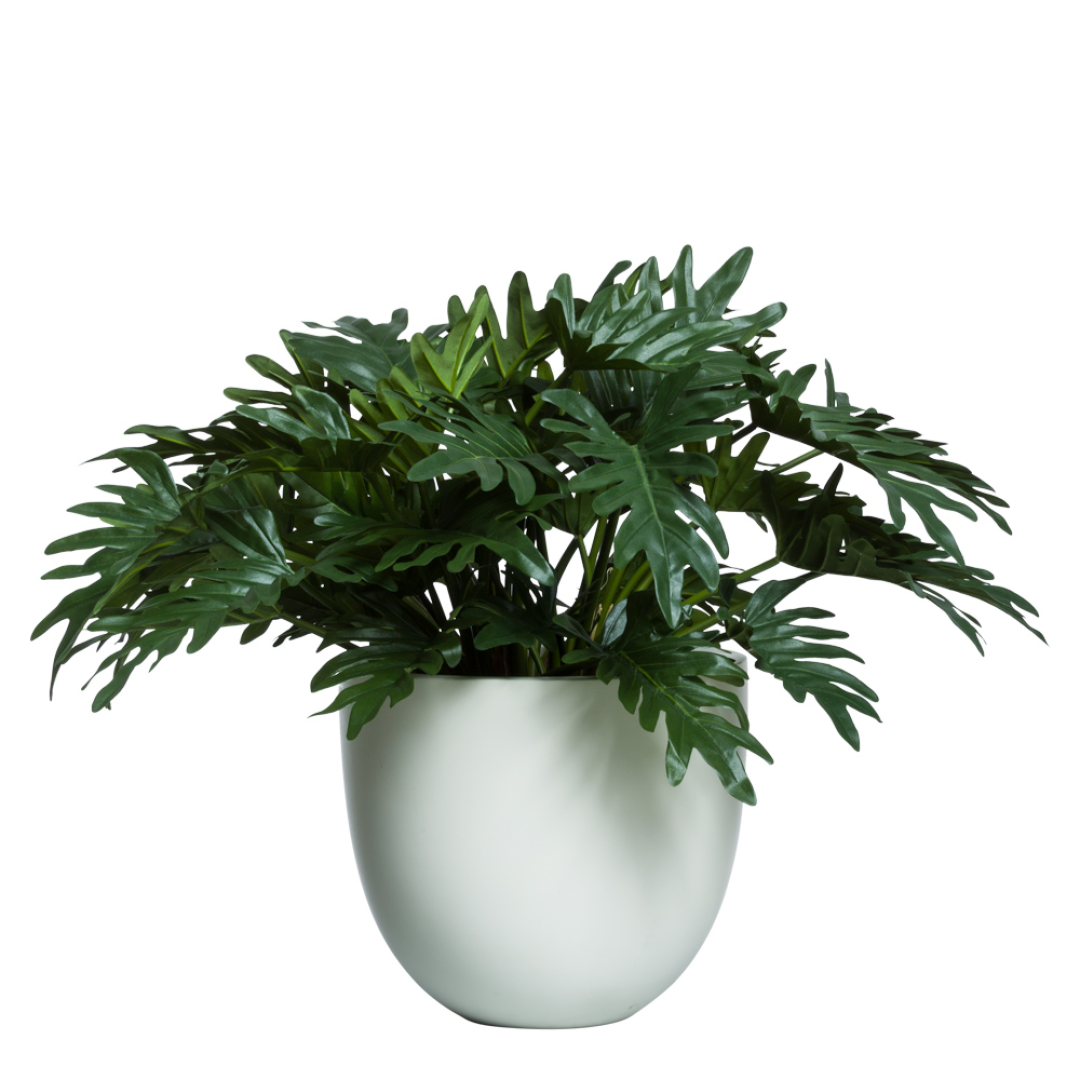 philodendron lux Philodendron Selloum UV – Lux Art Silks