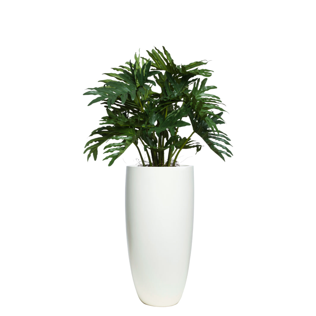 philodendron lux Philodendron Selloum UV – Lux Art Silks