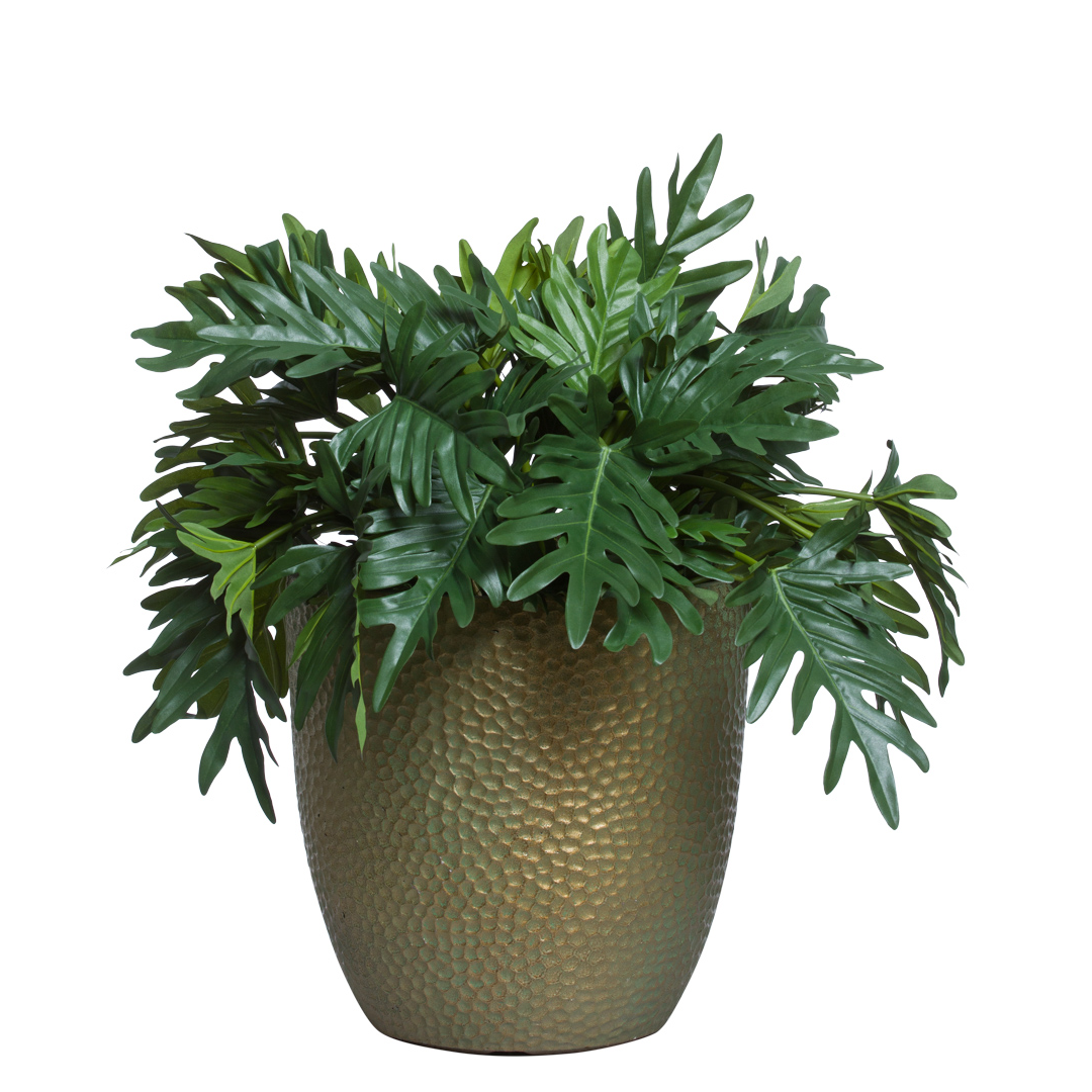 philodendron selloum pot size Philodendron Selloum UV – Lux Art Silks