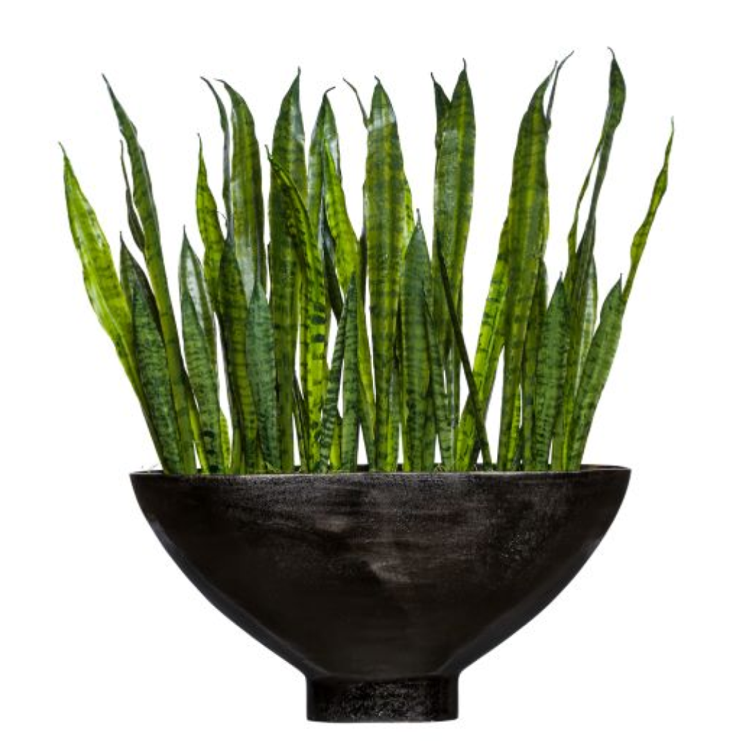 sansevieria modern Sansevieria – Lux Art Silks