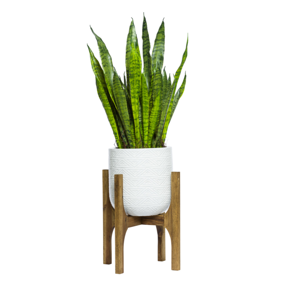 faux sansevieria Sansevieria – Lux Art Silks