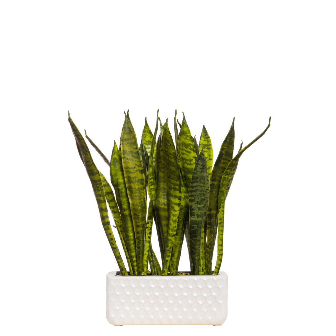 artificial sansevieria plants Sansevieria – Lux Art Silks