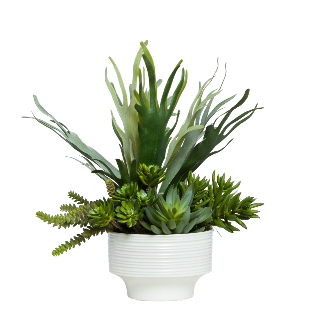 staghorn succulent Staghorn/Succulent Mix – Lux Art Silks