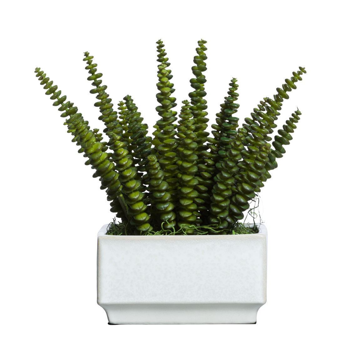succulent square leaves Succulent – Lux Art Silks