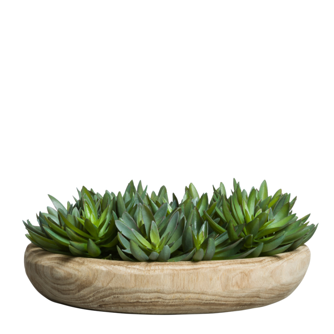 silk succulent plant arrangements Succulent – Lux Art Silks