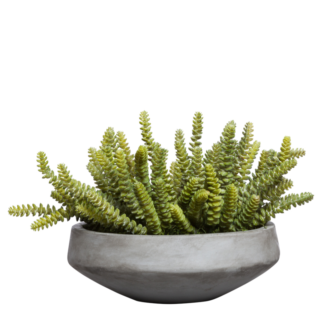 faux donkey tail succulent Sedum – Lux Art Silks