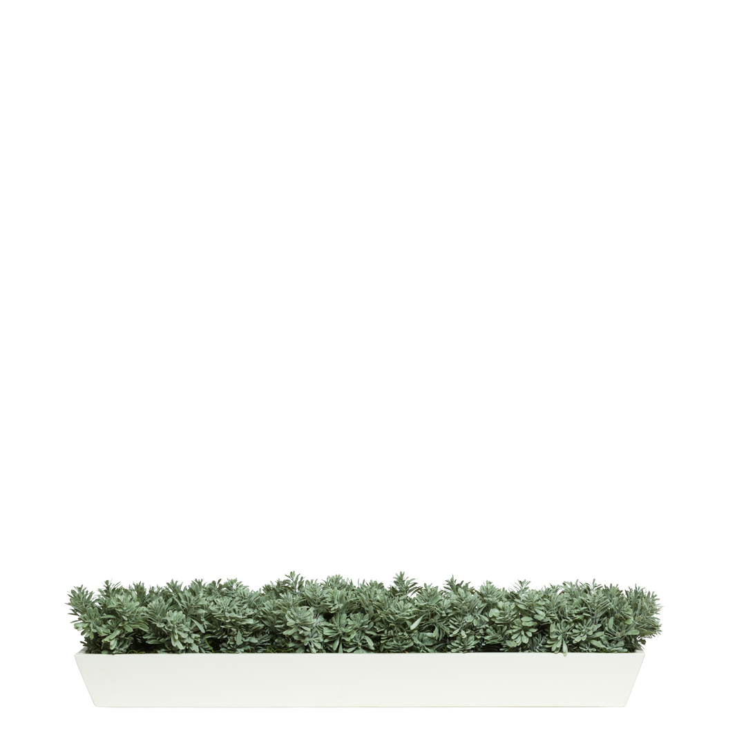succulent turf Succulent – Lux Art Silks