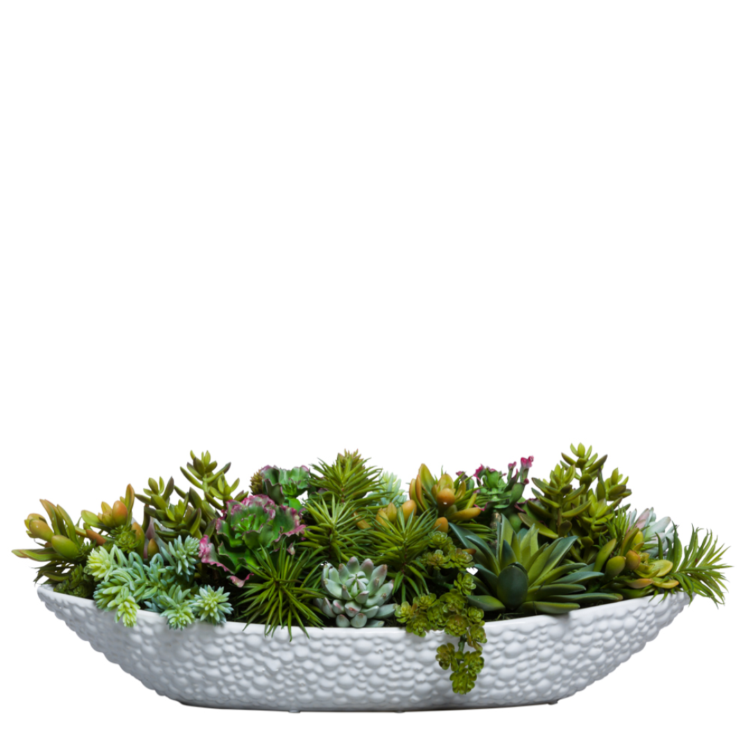 oval succulent planter Succulent Mix – Lux Art Silks