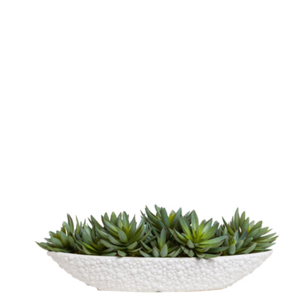 oval succulent planter Succulent – Lux Art Silks