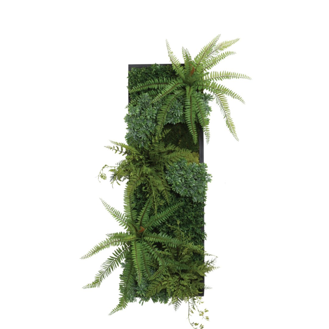 ferns and succulents Succulent Fern Wall Mix – Lux Art Silks