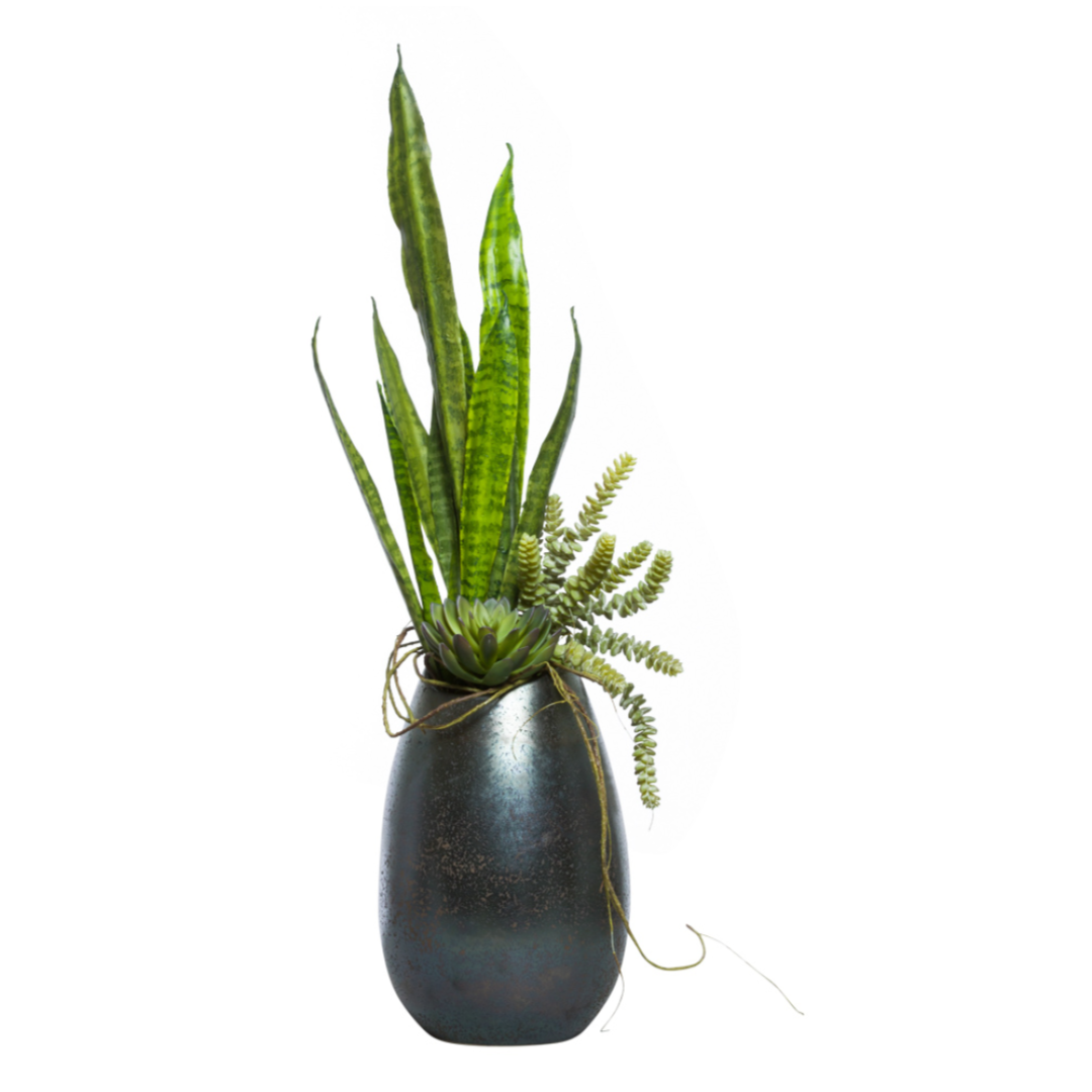 snake plant with succulents Succulent/Sansevieria Mix – Lux Art Silks