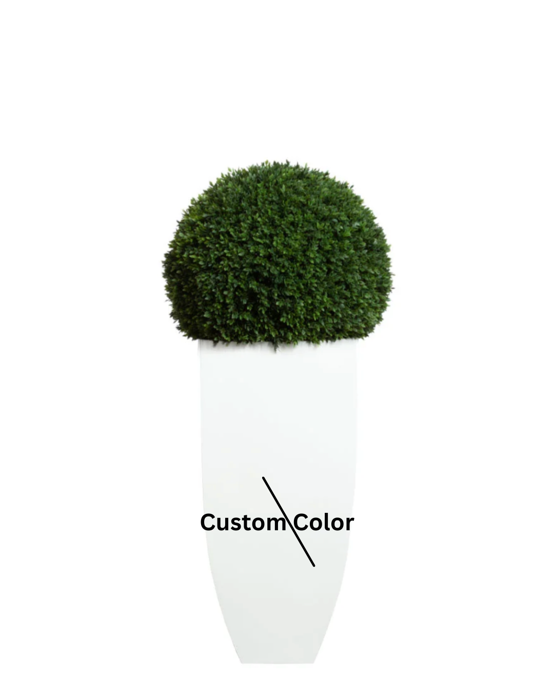 Boxwood Ball UV