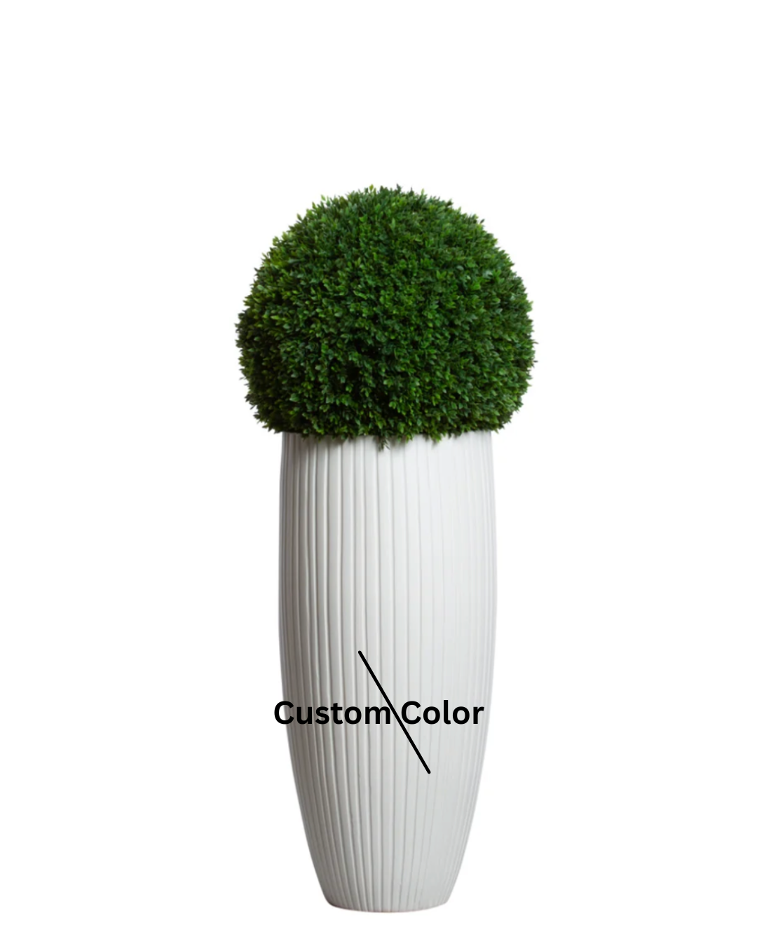 Boxwood Ball UV