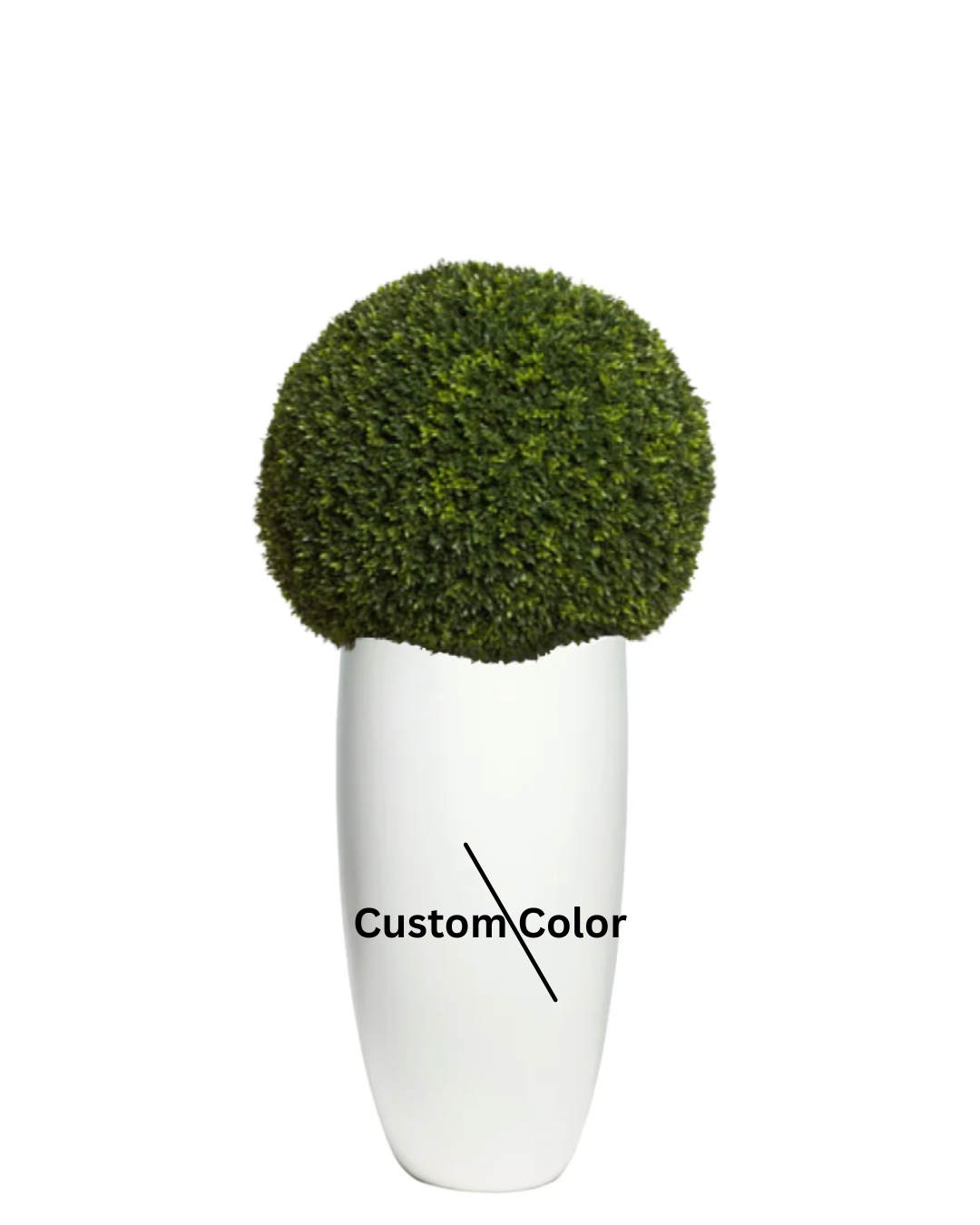 Boxwood Ball UV
