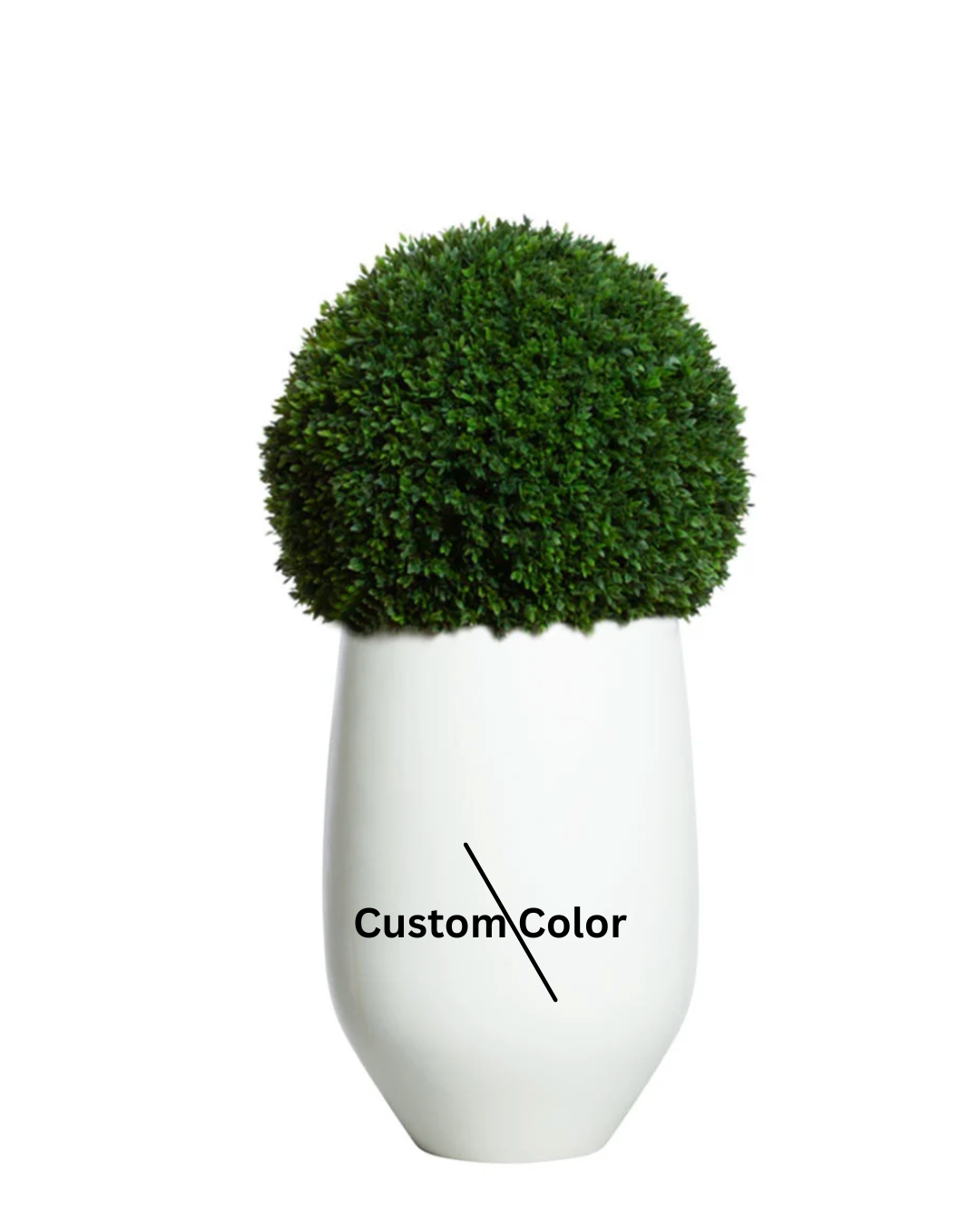 Boxwood Ball UV