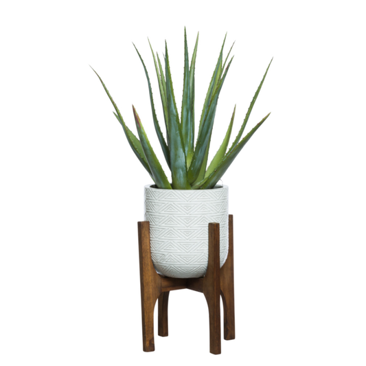 Aloe