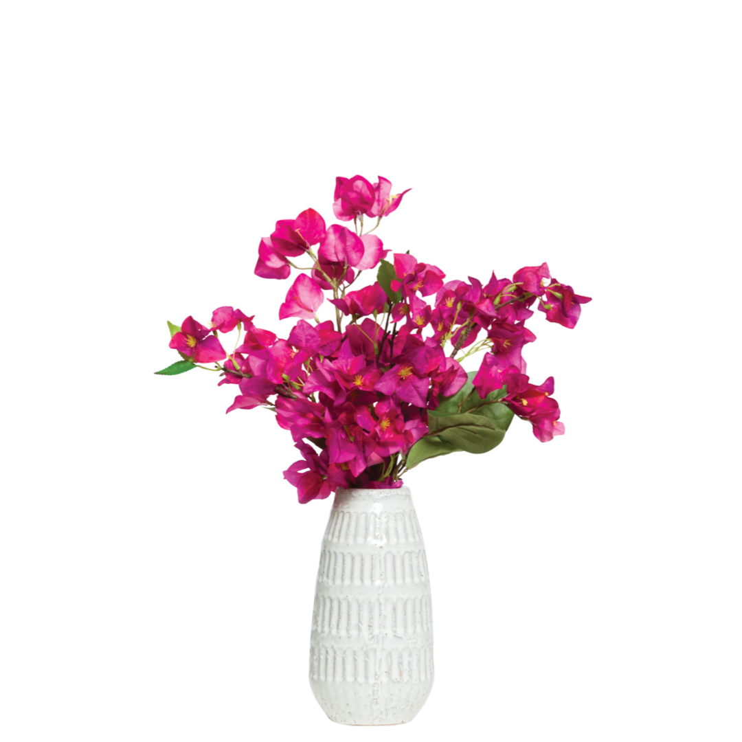 Bougainvillea Fuchsia
