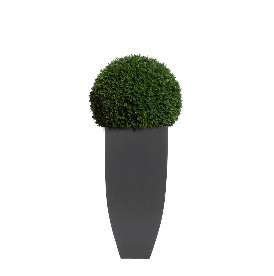 Boxwood Ball 16" UV