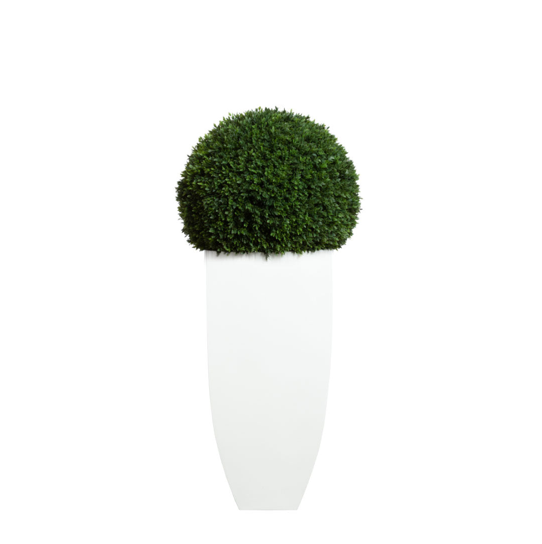 Boxwood Ball 16" UV