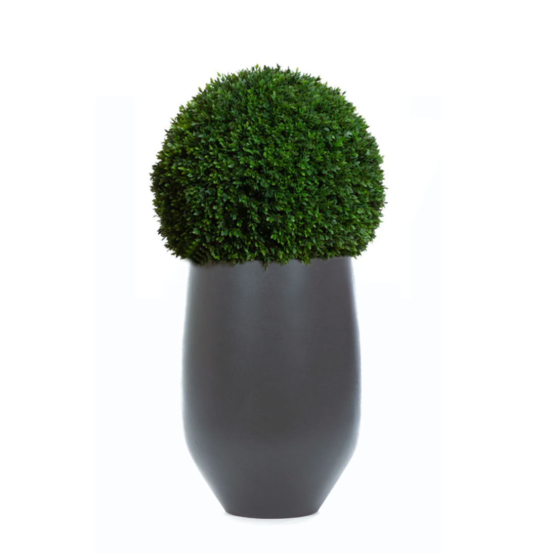 Boxwood Ball 16" UV
