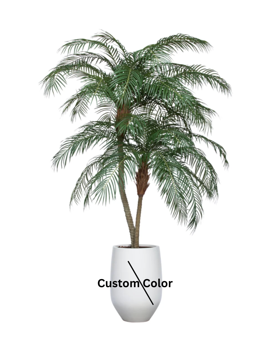 Palm Phoenix Deluxe UV