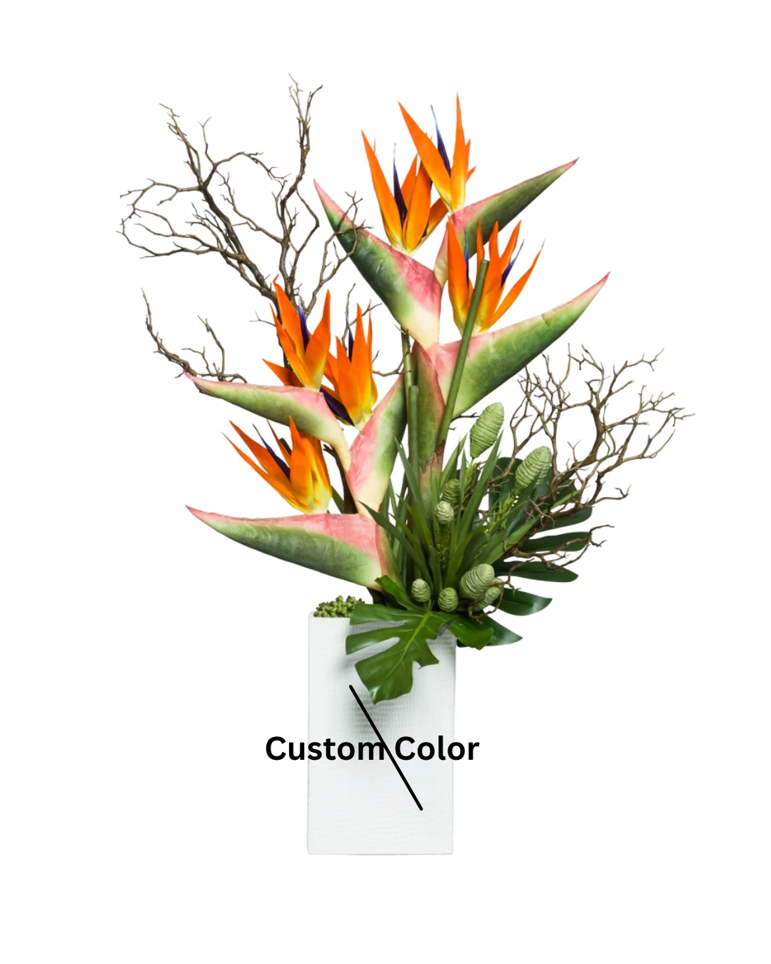 Bird of Paradise Mix