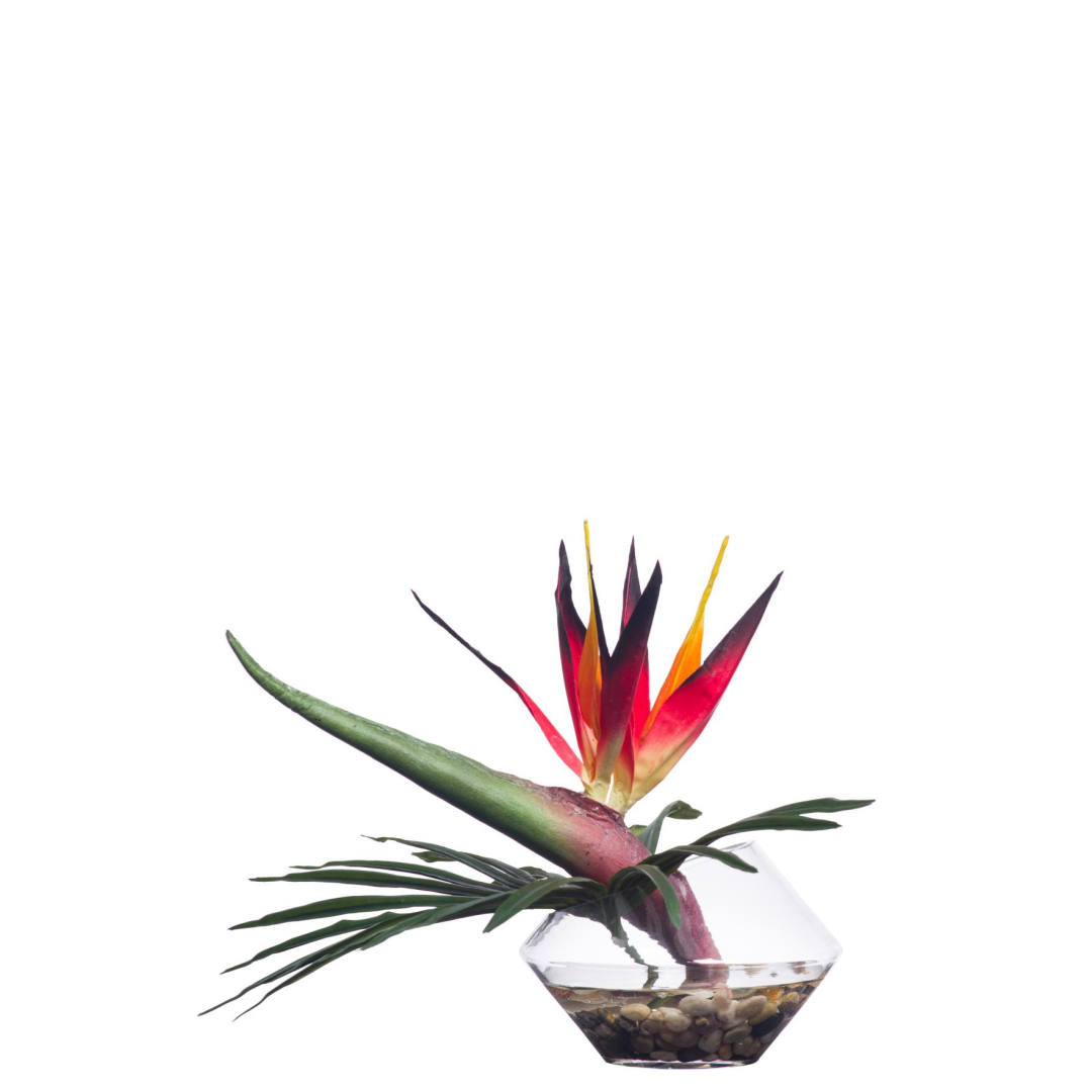 Bird of Paradise FW – Lux Art Silks