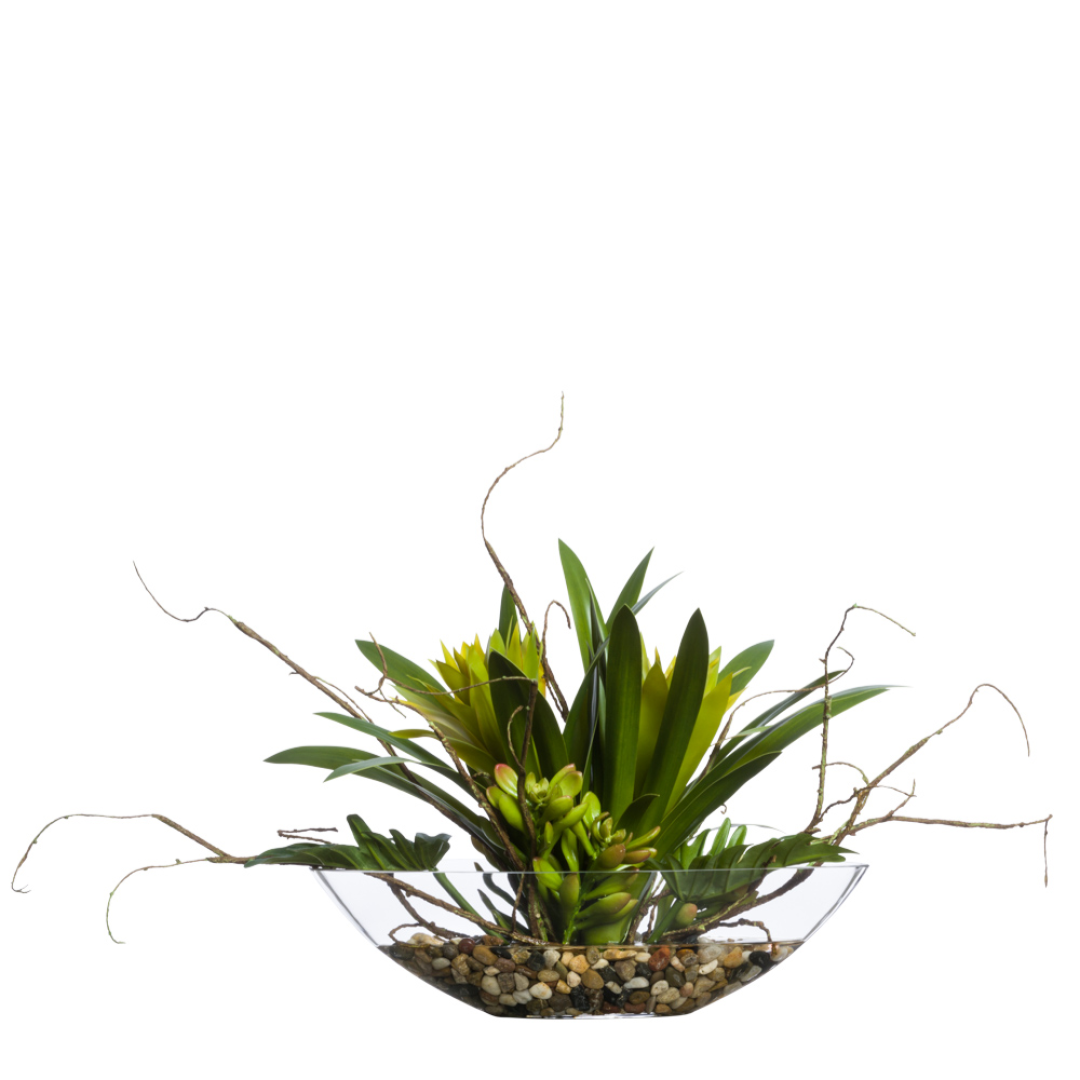Bromeliad/Split Leaf FW