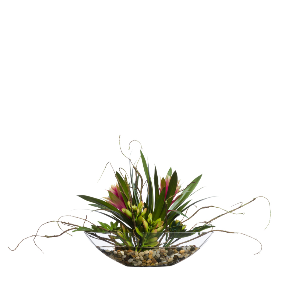 Bromeliad/Split Leaf FW