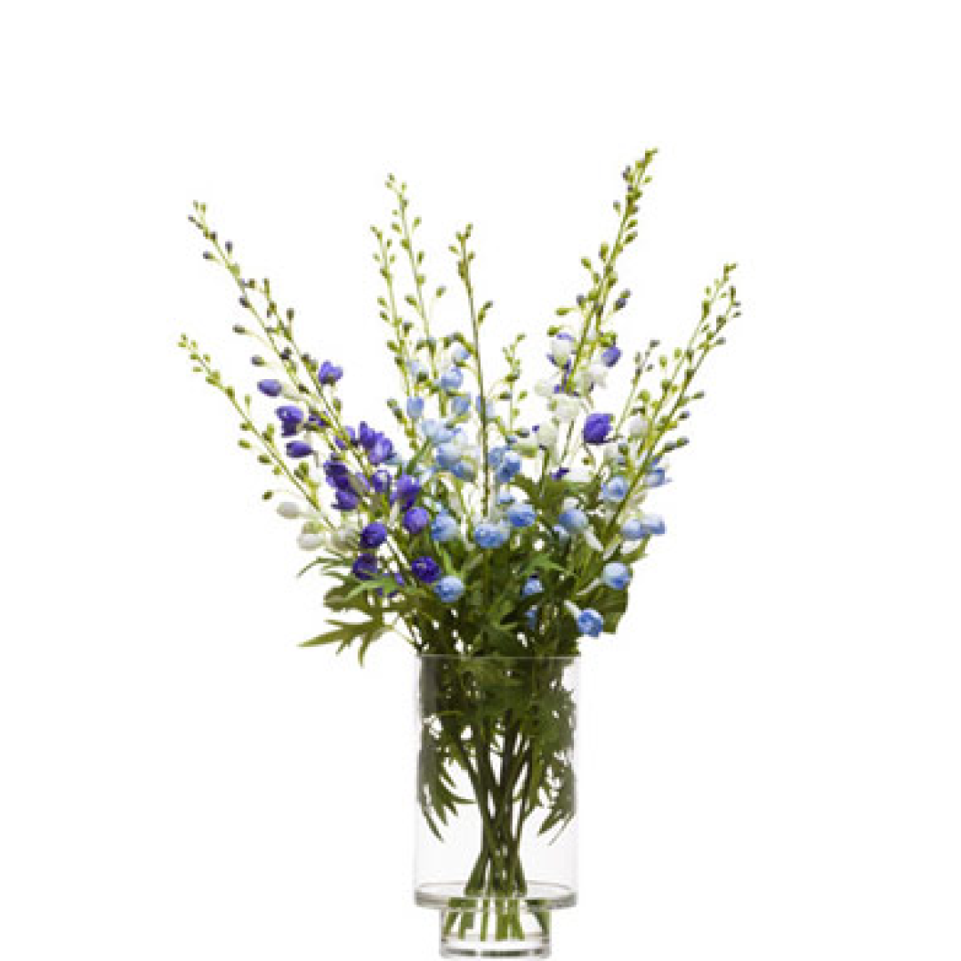 Delphinium Mix FW 30"