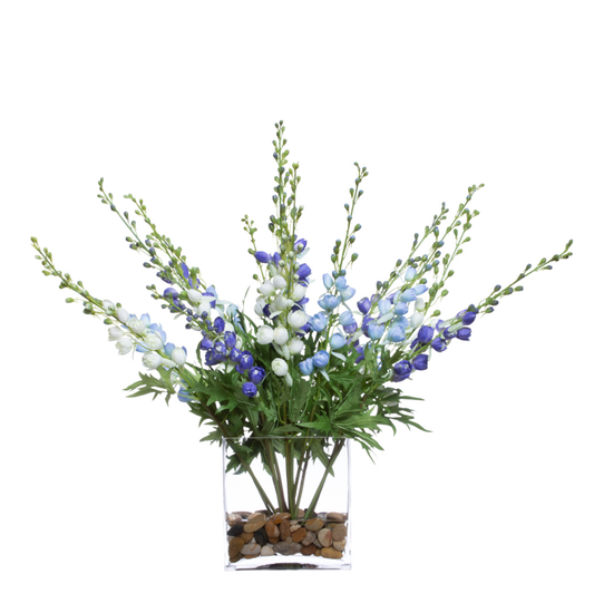 Delphinium Mix FW