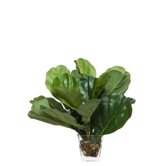 Fig Leaf FW