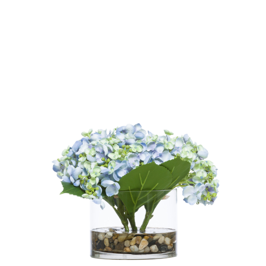 Hydrangea FW