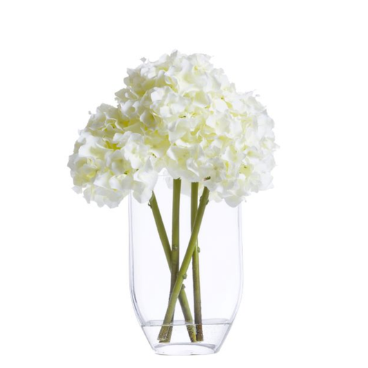 Hydrangea FW