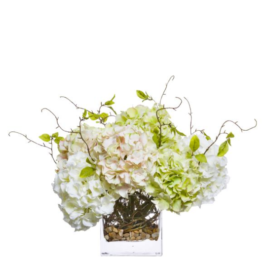 Hydrangea/Willow FW