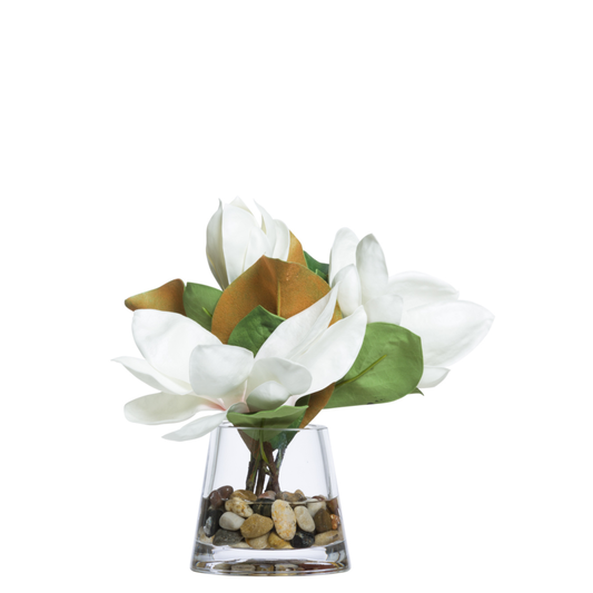 Magnolia FW