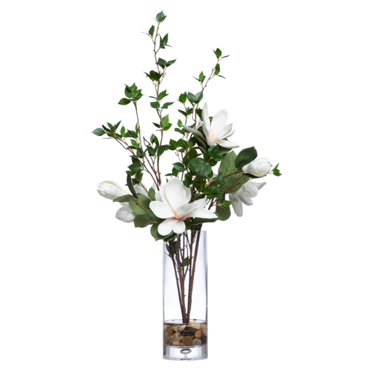 Magnolia FW