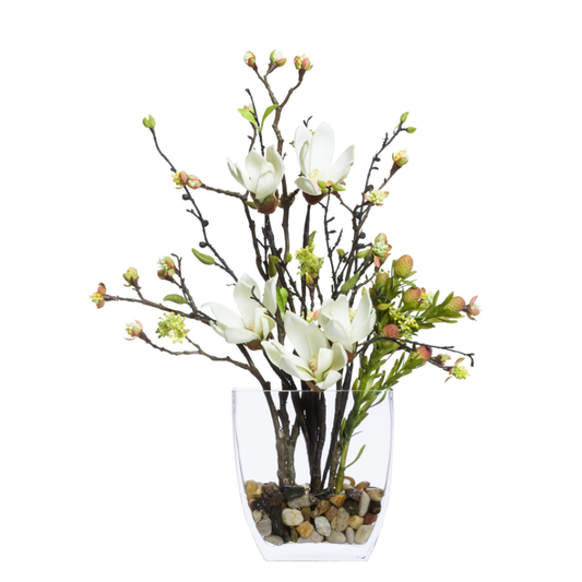 Magnolia/Bud Br FW