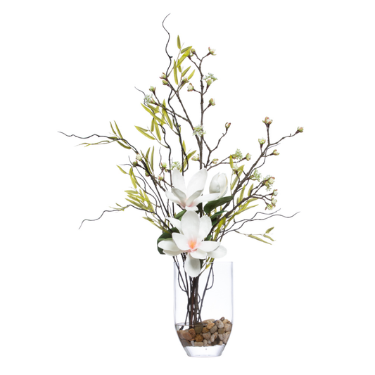 Magnolia FW
