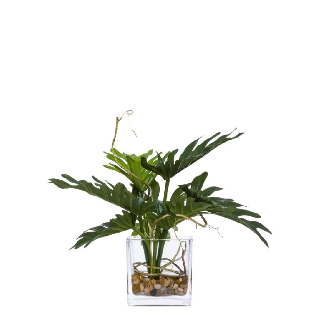 buy philodendron selloum Philodendron Selloum FW – Lux Art Silks