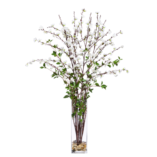 Plum Blossom FW