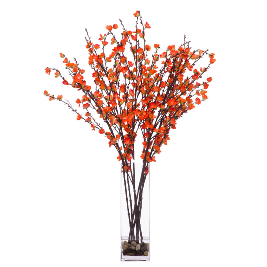 Plum Blossom FW