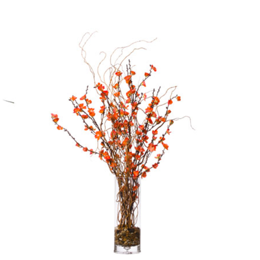 Plum Blossom FW